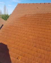 Reinard Jimmy image 10