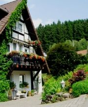 Ferienhaus Tillmann Bild 4