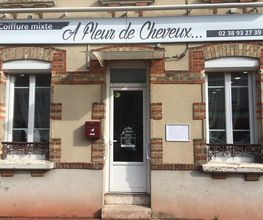 A FLEUR DE CHEVEUX image 2