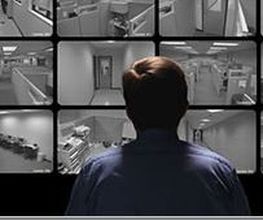 Artel image 7