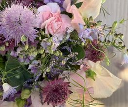 Zimmermann Flaach AG Blumen & Gartenbau Bild 7