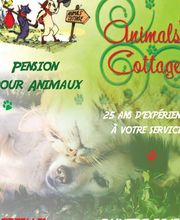 Animal's Cottage image 12