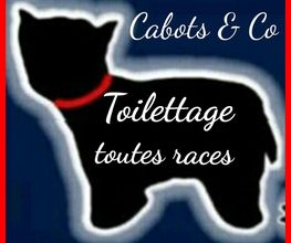 Cabots & Co image 4