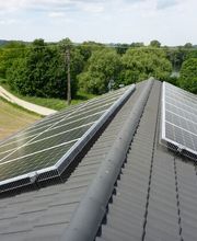 Taubenschutz & Consulting Bild 6