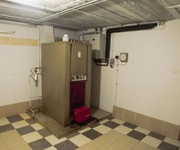 Bruneau image 1