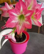 la Thibaudière - Grand Paris image 7