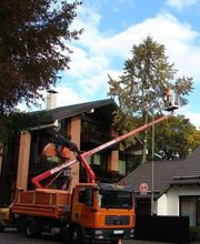 Urban Münchner Baumpflege GmbH Bild 22
