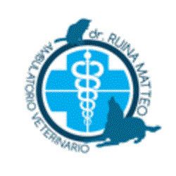 Ruina Dr. Matteo - Studio Veterinario logo