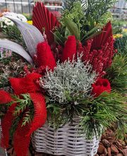 hollenstein blumengarten ag-Blumenshop-Gärtnerei-Gartenbau-Unterhalt-Grabpflege Bild 3