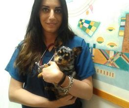 Centro Veterinario Maccauro immagine 5