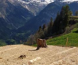 Garten Ideal GmbH Bild 6