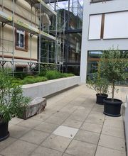 Top Gerüste AG Bild 2