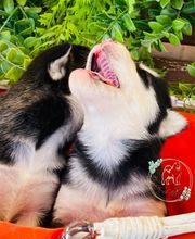 El Edén de Lilith imagen 13