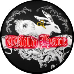 Wild Hare Salon and Gallery