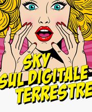 Negozio Sky Service | SI.EL. srl immagine 9