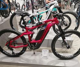Radsport Leitl Bild 1