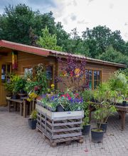 Eggert Pflanzenhof Inh. Rolf Tietjen Bild 1