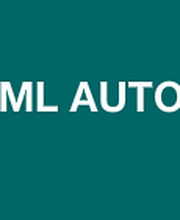 ML AUTO image 1