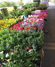 Bricomarché Caudry image 6