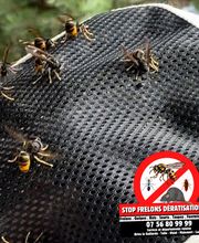 Stop Frelons image 2