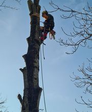 Rochefort Bois image 5