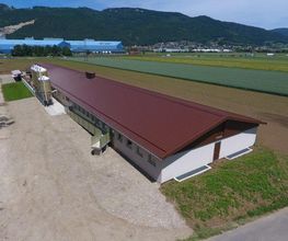 System Wolf AG Bild 4