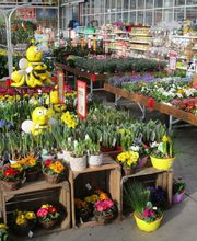 HELLWEG - Die Profi-Baumärkte Deulowitz Bild 7