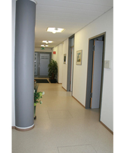 Dehling Markus Bild 1