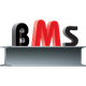 BUSINESS METAL SERVICES BMS