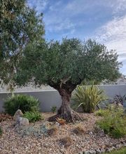 SARLU ROYAN AMENAGEMENT image 9