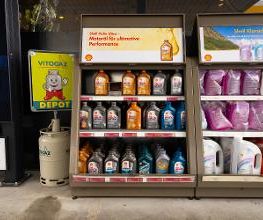 Shell Bild 12