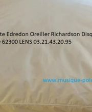 Artisanat polonais Couette Edredon Pierzyna Oreiller Richardson Disquaire image 7