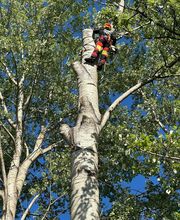 E.T.E. Le Charme image 2