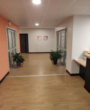 Tranchant Amandine image 4