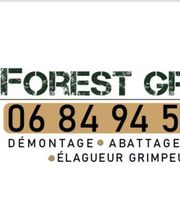 Forest Grimp image 7