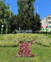 Val Fleuri, lieu de vie (EMS) SA Bild 1