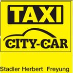 Herbert Stadler Taxi