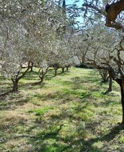 C.Provence paysage image 3