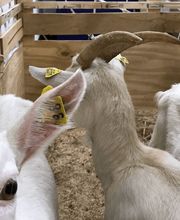 AVS Gefahrgut & Verpackungen GmbH Bild 5