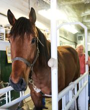 Shawnee Animal Hospital image 18