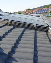 Taubenschutz & Consulting Bild 5