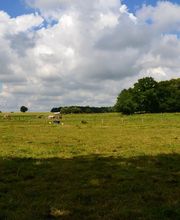 Les Sabots de Villecartier image 13