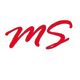 Gruppo MS Sagl
