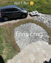 ELVIS CMG image 4