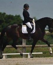 Les Écuries de Coatélan image 8