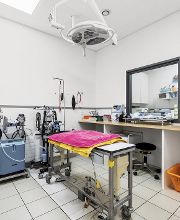 Salle d'opérations- Cabinet vétérinaire des Deux communes - Dr. Doris Hugi