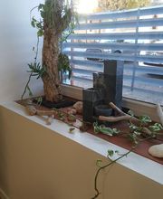 Florence Coiffure image 6