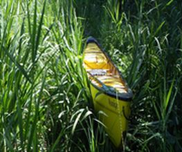 Canoe Diffusion image 11