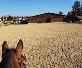 Manège de la Sallivaz & Poney club Bild 2