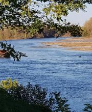 Le Bord De Loire image 10